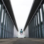 ART TRIP 安藤忠雄をめぐる、この夏